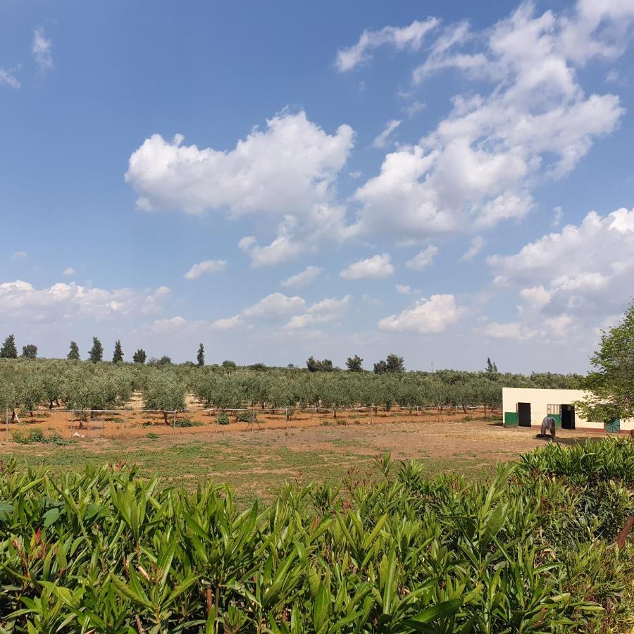 Finca-Vallestares อัลมอนเต ภายนอก รูปภาพ