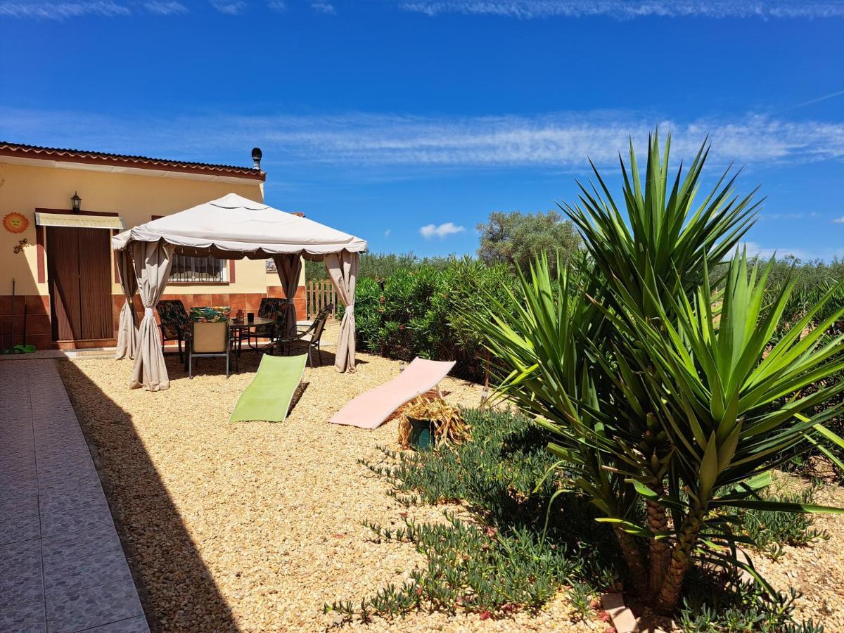 Finca-Vallestares อัลมอนเต ภายนอก รูปภาพ
