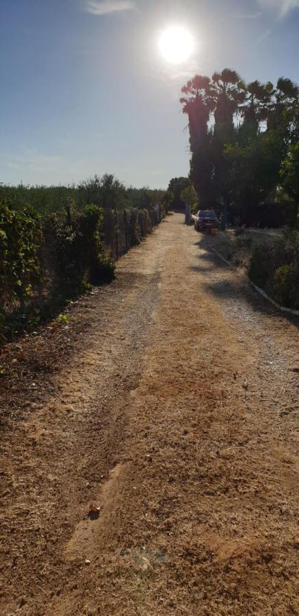 Finca-Vallestares อัลมอนเต ภายนอก รูปภาพ
